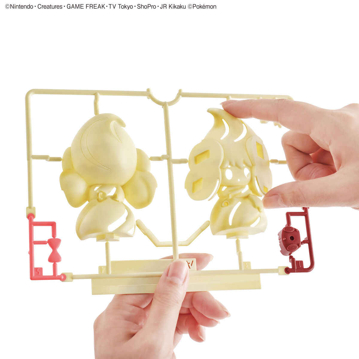 حقيقية بانداي بوكيمون أرقام أط - مراجعة Model Kit Quick Pokemon وسعره